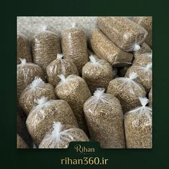 موجودیِ توت خشک هوراند؛ خرید مستقیم از باغ و بسته‌بندی بدون واسطه